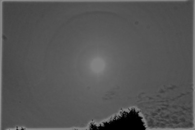 HALO_20230814_3_RB_v.jpg