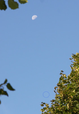 Mond und Jupiter (im Kreis) am 5.9.2023 um 8:15 MESZ