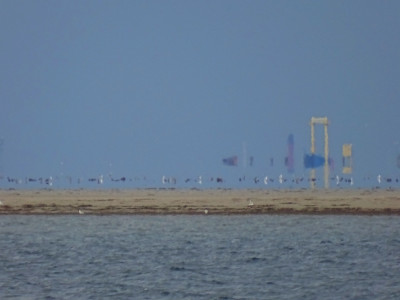 DSC08045k.jpg (300.16 KiB) 1981 mal betrachtet Das Tor.<br />Aufgenommen an 27.08.2023, 17:48 MESZ, auf der Fähre von Dagebüll nach Wittdün.