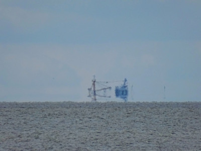 DSC08099k.jpg (326.68 KiB) 2004 mal betrachtet Pärchen.<br />Aufgenommen an 28.08.2023, 14:48 MESZ, auf der Amrumer Odde.