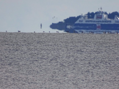 Schiff und Schatten.<br />Aufgenommen an 28.08.2023, 14:56 MESZ, auf der Amrumer Odde.