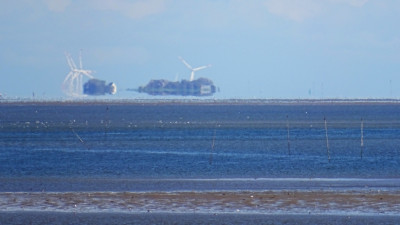 DSC08111k.jpg (321.01 KiB) 1621 mal betrachtet Island in the Wind.<br />Aufgenommen an 28.08.2023, 16:28 MESZ, auf der Amrumer Odde.