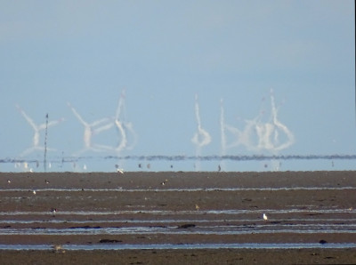 Windflügel<br />Aufgenommen an 28.08.2023, 17:46 MESZ, auf der Amrumer Odde.