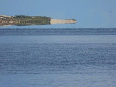 DSC08206k.jpg (324.31 KiB) 1896 mal betrachtet Schwebendes Land (I)<br />Aufgenommen an 29.08.2023, 10:13 MESZ, auf der MS Eilun bei Wittdün.