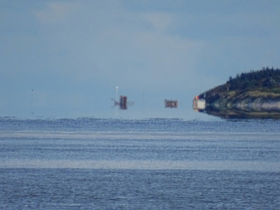 DSC08209k.jpg (312.16 KiB) 1896 mal betrachtet Dünenwald<br />Aufgenommen an 29.08.2023, 10:16 MESZ, auf der MS Eilun bei Wittdün.