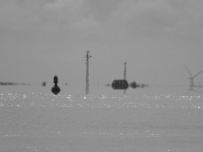 DSC08245k.jpg (267.92 KiB) 1830 mal betrachtet Grautöne<br />Aufgenommen an 29.08.2023, 10:50 MESZ, auf der MS Eilun bei Langeness.