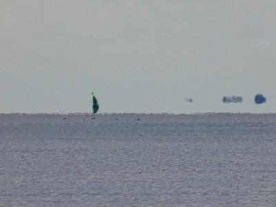 DSC08279k.jpg (273.73 KiB) 1807 mal betrachtet Grüner Tupfer<br />Aufgenommen an 29.08.2023, 11:13 MESZ, auf der MS Eilun bei Langeness.