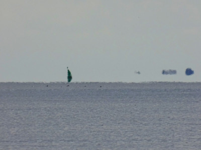 Grüner Tupfer<br />Aufgenommen an 29.08.2023, 11:13 MESZ, auf der MS Eilun bei Langeness.