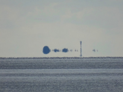 DSC08311k.jpg (277.22 KiB) 1739 mal betrachtet Völlig losgelöst<br />Aufgenommen an 29.08.2023, 11:28 MESZ, auf der MS Eilun bei Langeness.