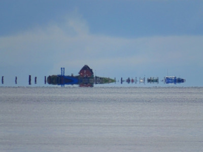 DSC08318k.jpg (304.45 KiB) 1739 mal betrachtet Buntes Allerlei<br />Aufgenommen an 29.08.2023, 11:31 MESZ, auf der MS Eilun bei Langeness.