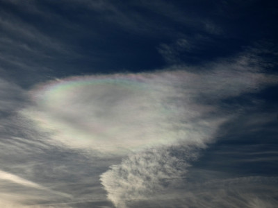 50 Aclen irisierend 20230920.jpg