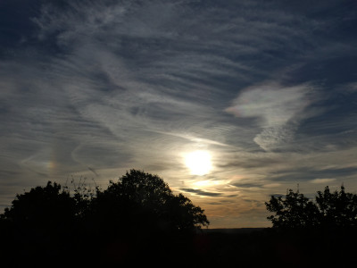 52 NSli Aclen iris 20230920.jpg