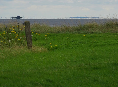 DSC08379k.jpg (324.83 KiB) 1683 mal betrachtet Horizonte<br />Aufgenommen an 29.08.2023, 12:08 MESZ, auf Hallig Oland.