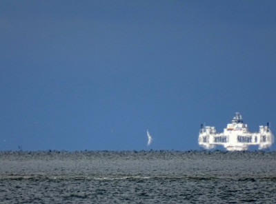 Weiß und Blau<br />Aufgenommen an 29.08.2023, 15:43 MESZ, zwischen Hallig Hooge und Amrum.