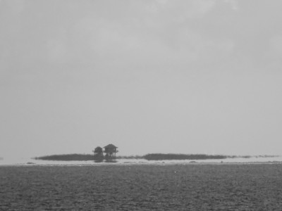 DSC09070k.jpg (338.29 KiB) 1706 mal betrachtet Norderoog<br />Aufgenommen an 01.09.2023, 16:24 MESZ, in Wittdün (Amrum).