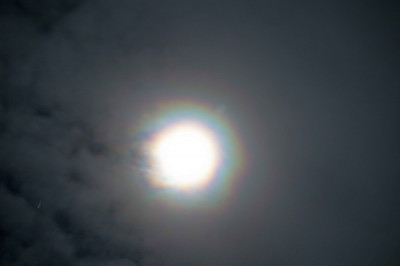 DSC06817_v.jpg