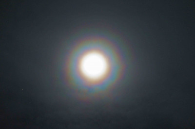 DSC06822_v.jpg