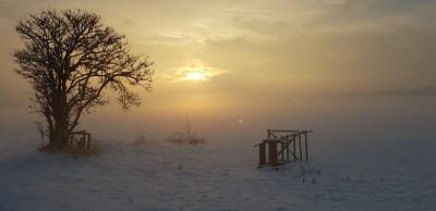 endlich Flachlandwinter.jpg
