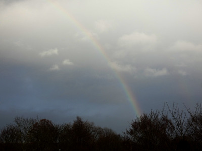 78 Regenbogen 20231212.jpg