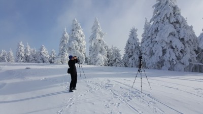Kevin allein im Schnee