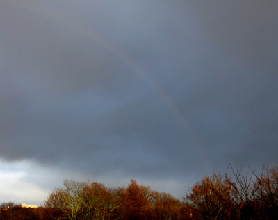 82 Regenbogen 20231231.jpg