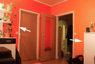 _MG_0730.gif