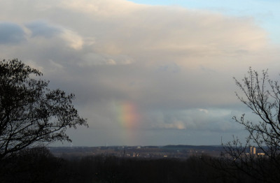 7 Regenbogen 20240211.jpg