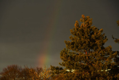Regenbogen-li-3.jpg