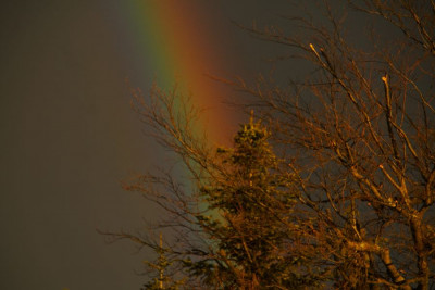 Regenbogen-re-1.jpg