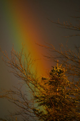 Regenbogen-re-2.jpg