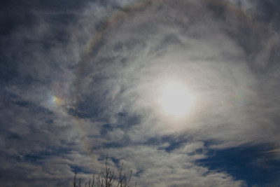 Li NS-HaLo-290324-f.jpg