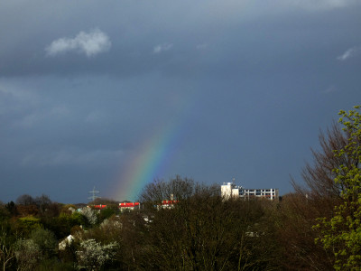 20 Regenbogen 20240404.jpg