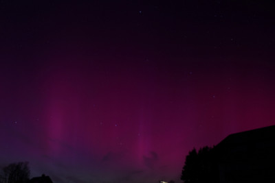 PL_0049.jpg