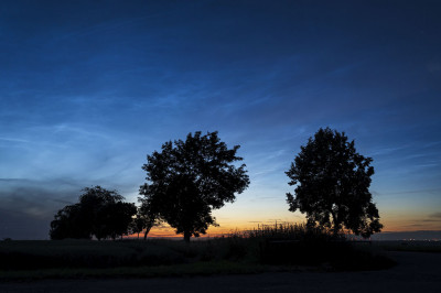 NLC13062024.jpg