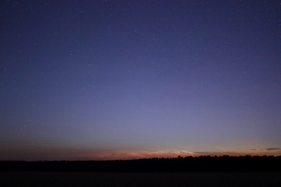 NLC+PL_2024_06_29_011338MESZ.jpg