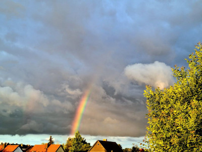 doppelter Regenbogen früh.jpg