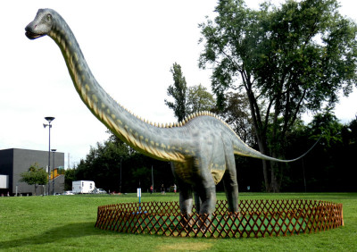 37 Diplodocus 20240714.jpg