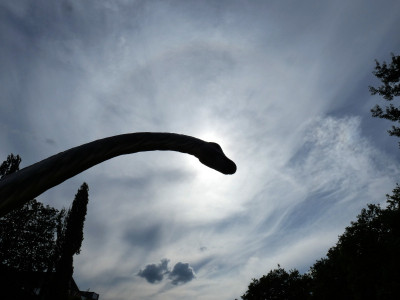 34 Halo Diplodocus 20240714.jpg