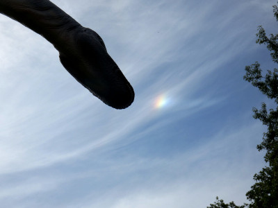 35 NSre 20240714.jpg