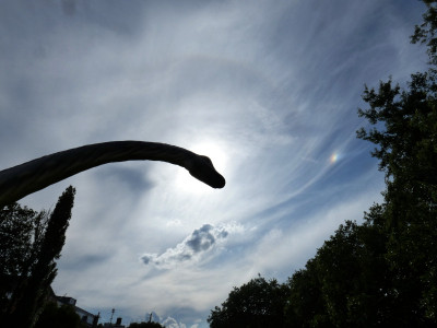 36 Halo NSre 20240714.jpg