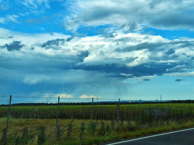 Virga.jpg