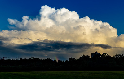 IMG_8766.jpg