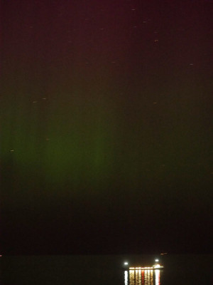P8121440a.JPG