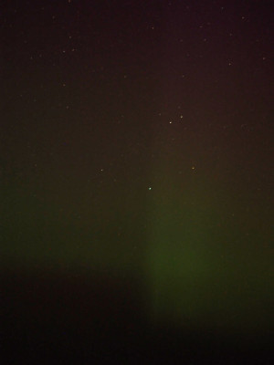 P8121483a.JPG