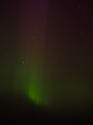 P8121488a.JPG