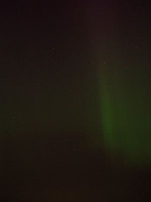 P8121509a.JPG