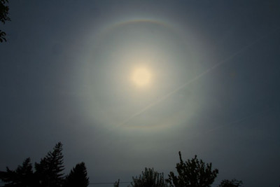 umschr.Halo-2-F.jpg