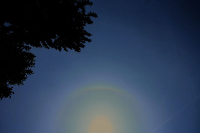 umschr.Halo-F-5.jpg
