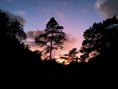 Purpurlicht am Abend des 02.02.2016