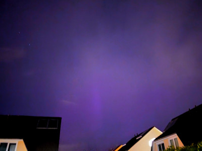 PXL_20240912_191817846.NIGHT~2.jpg
